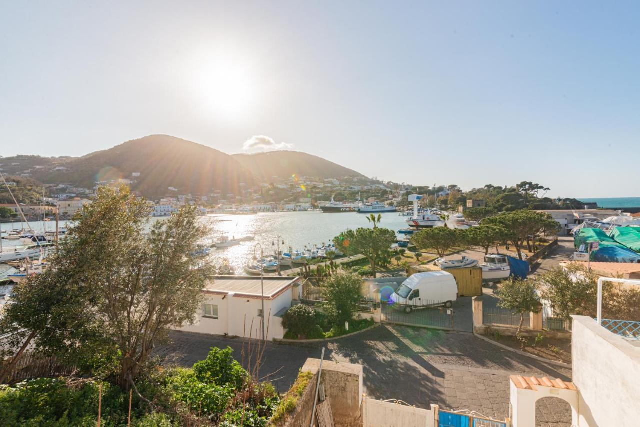 伊斯基亚La Casa Sul Porto公寓 外观 照片